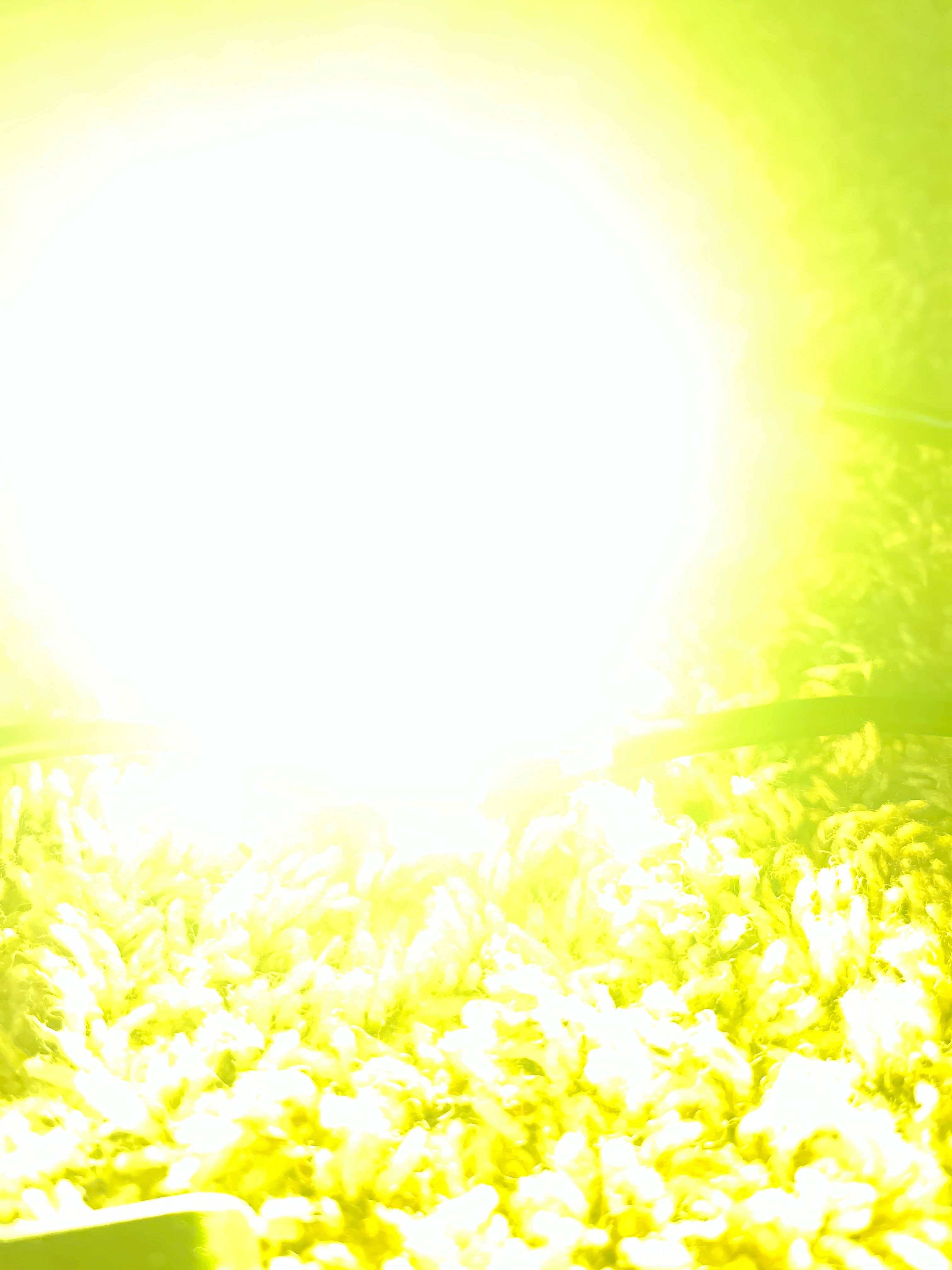 Amber Baha Light Battery Powered